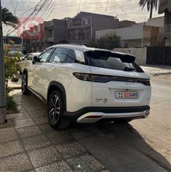 بي واي دي سونغ L DM-i